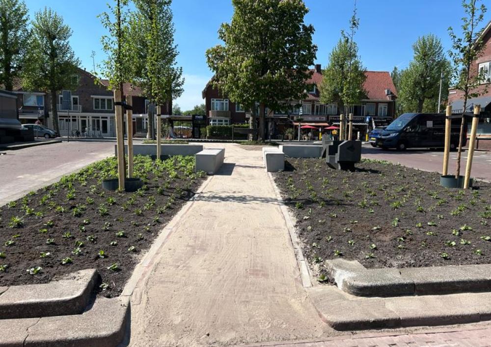 Het Vijverplein met links en rechts nieuwe planten