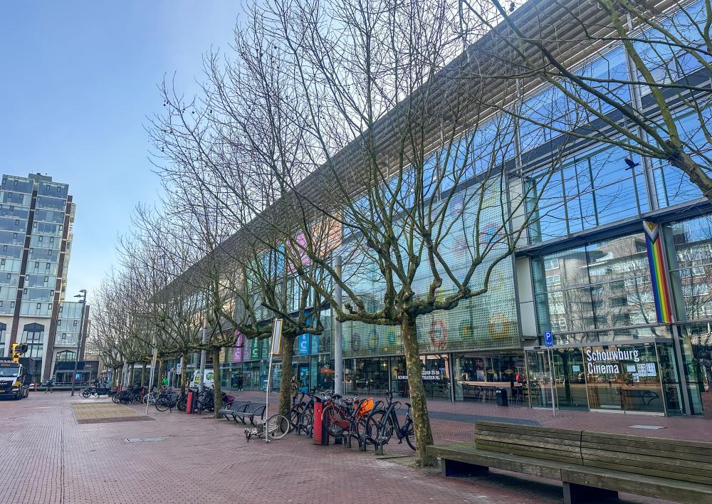 Bomen langs het Stadsplein