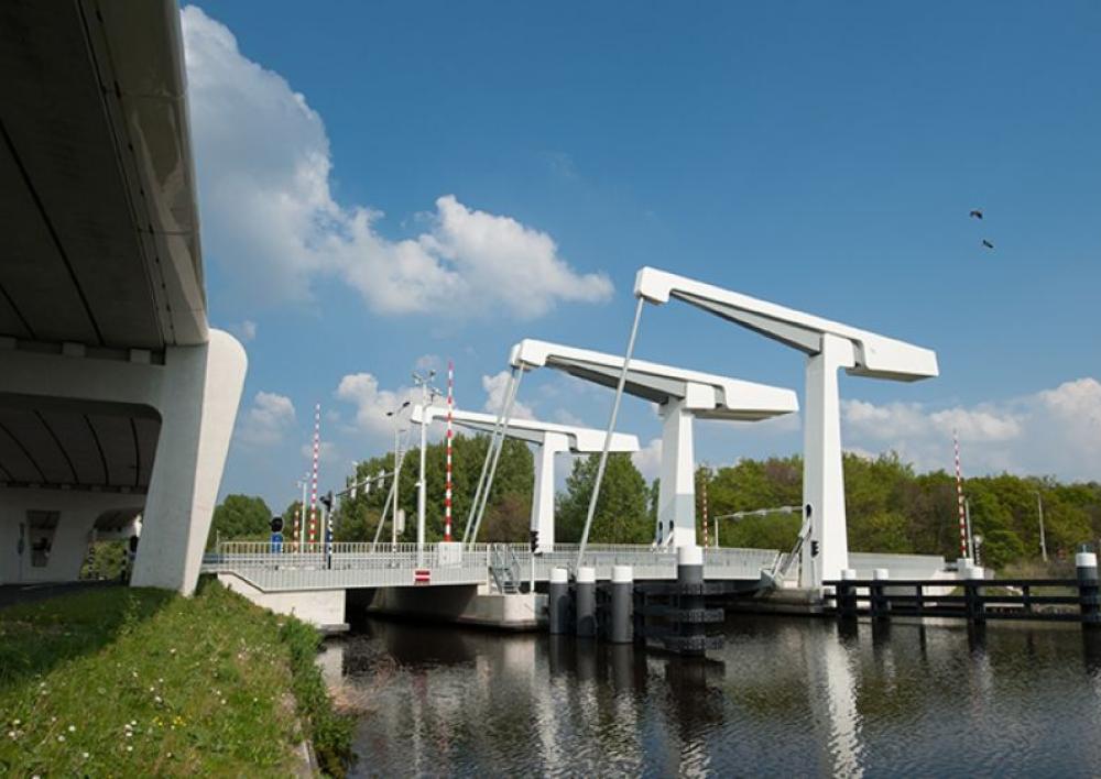 Bosrandbrug