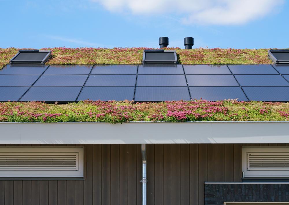 Groen dak met zonnepanelen